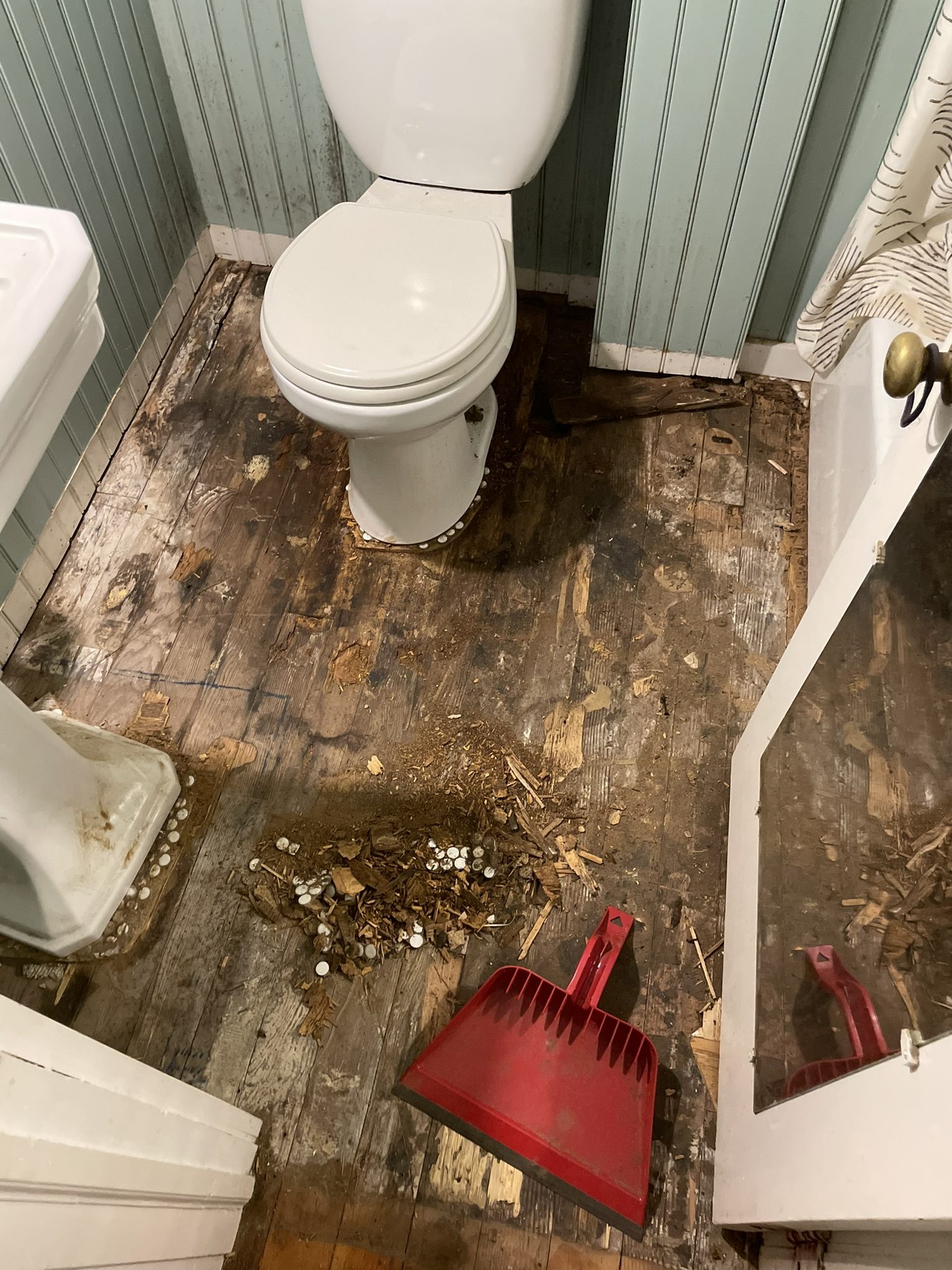 During: deck board replacement in progress — partial install